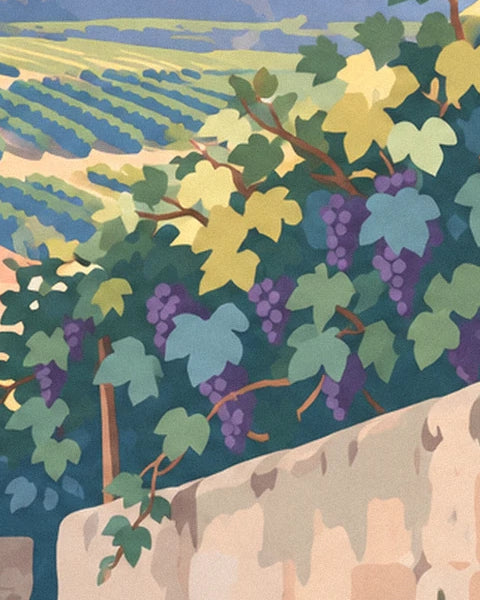 Bunches of purple grapes among green and yellow leaves above the low wall