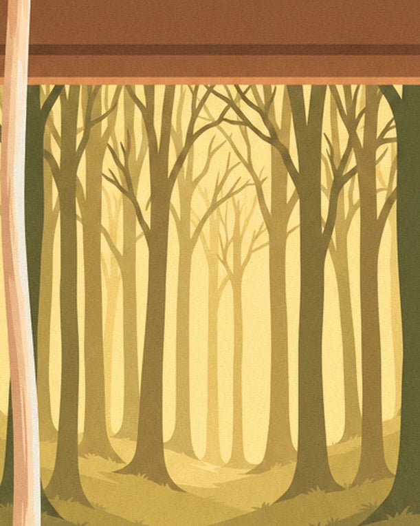 Forêt d'arbres nus dans une lumière dorée, vue par la fenêtre de l'atelier