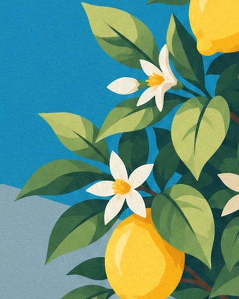 Des fleurs de citronnier blanches au cœur jaune, parmi les feuilles vertes sur ciel bleu