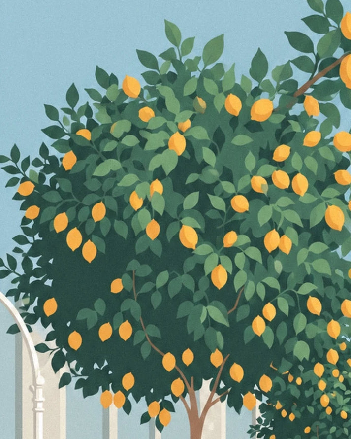 A lemon tree laden with yellow fruit, its dense foliage in front of the orangery windows