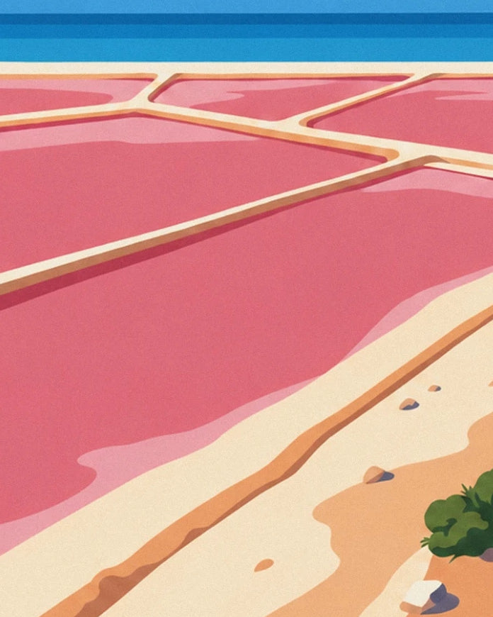 Pink salt pans separated by pale banks, with the sea on the horizon