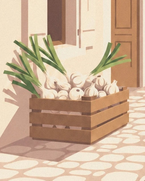 The wooden crate filled with white onions and garlic with long green stems