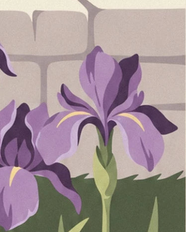 An iris with purple petals and yellow touches in front of a stone wall