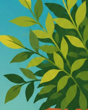 Des rameaux aux feuilles vert olive et jaune vif sur un fond turquoise
