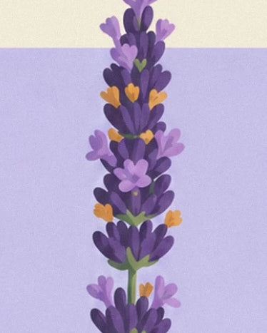 A purple lavender flower spike with small mauve and ochre touches, against a lilac background
