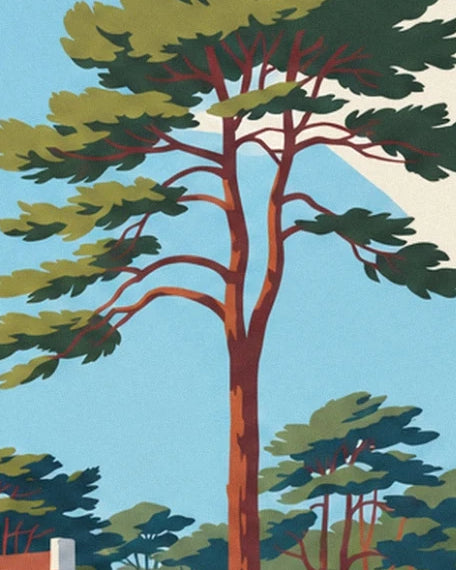 Un grand pin au tronc roux et aux branches étalées sur le ciel bleu