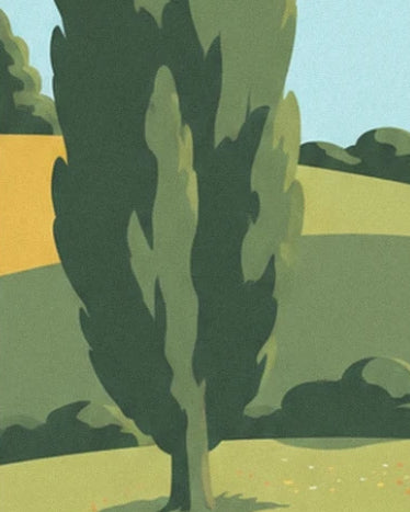 Un grand cyprès aux nuances de vert devant les collines et le ciel bleu