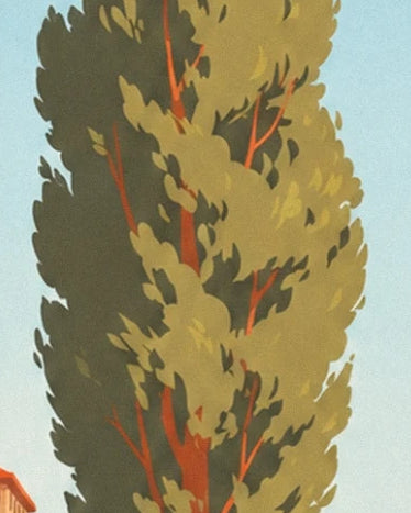 Le feuillage vert olive d’un grand arbre, traversé de branches orangées