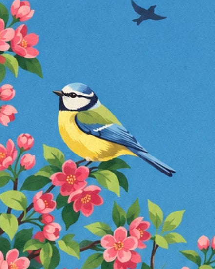 A blue tit with a yellow belly among pink apple blossom