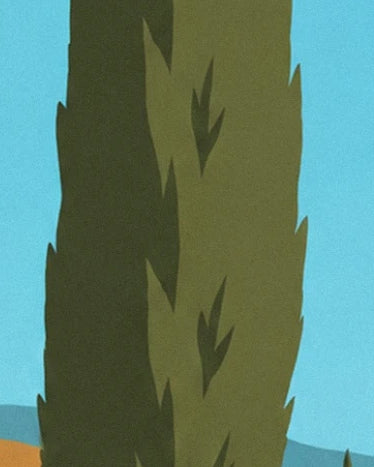 A slender cypress with olive-green and dark green foliage against a blue sky