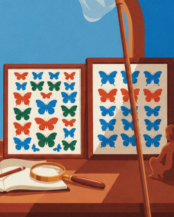 The framed displays of colourful butterflies, magnifying glass and notebook on the desk