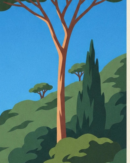 A pine tree with an orange trunk and a dark cypress on the green slopes of l'Estérel