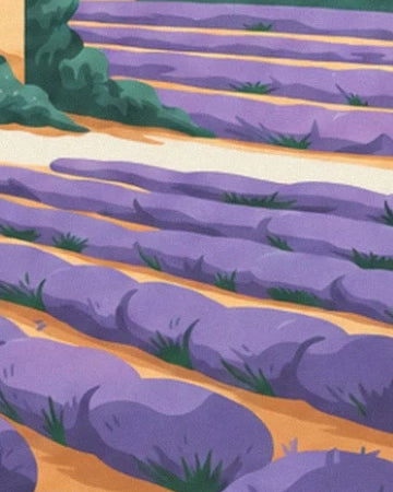 Rows of mauve lavender separated by strips of ochre soil