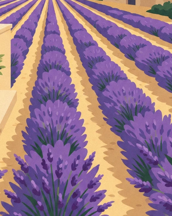 Les rangs de lavande violette en fleur qui filent vers l'horizon sur la terre dorée