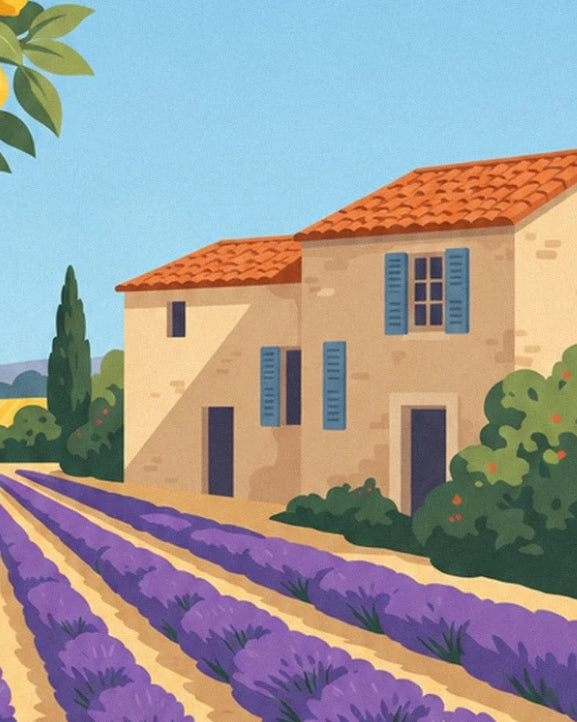 La maison de pierre aux volets bleus et toit de tuiles orange, au bord des rangs de lavande