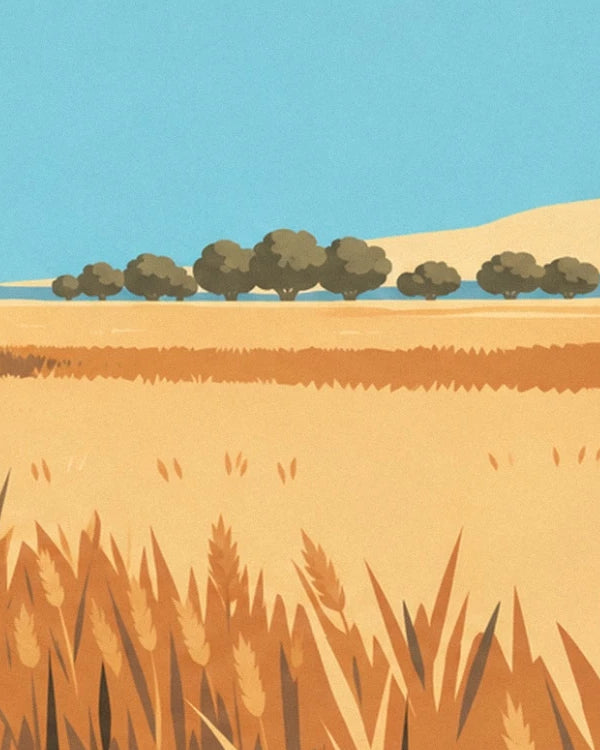 The golden field bordered by trees beneath the blue sky, with ears of wheat in the foreground