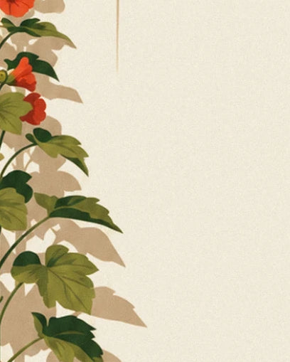 Plante grimpante aux fleurs rouge-orangé et feuilles vertes, dont l'ombre se projette sur le mur crème