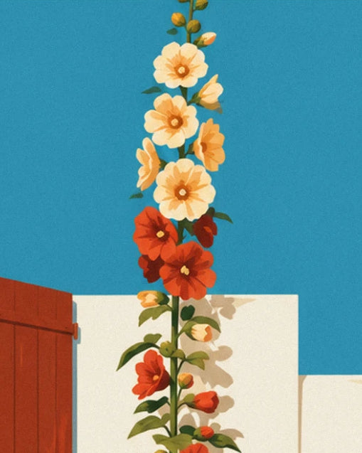 Une rose trémière aux fleurs jaune pâle et rouges, dressée contre le ciel bleu et un mur blanc