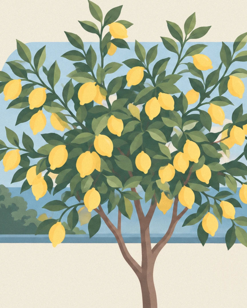 The lemon tree laden with bright yellow lemons in front of the blue sea