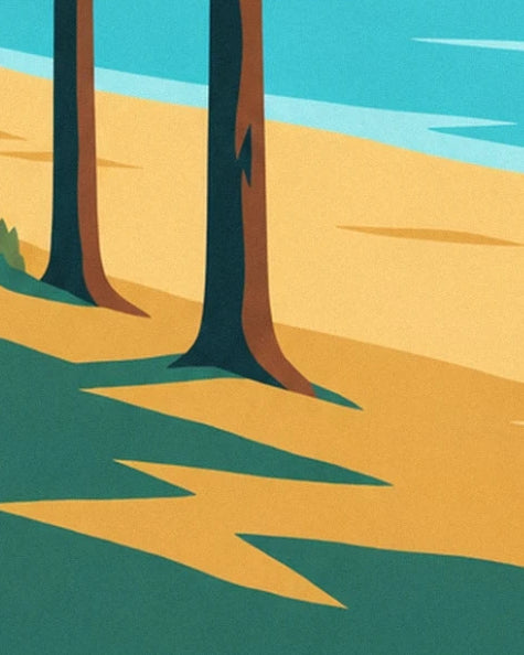 Les troncs bruns des pins et leurs longues ombres vertes sur la plage dorée