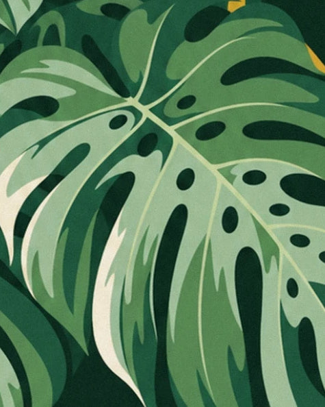A broad monstera leaf in shades of green with pale veins