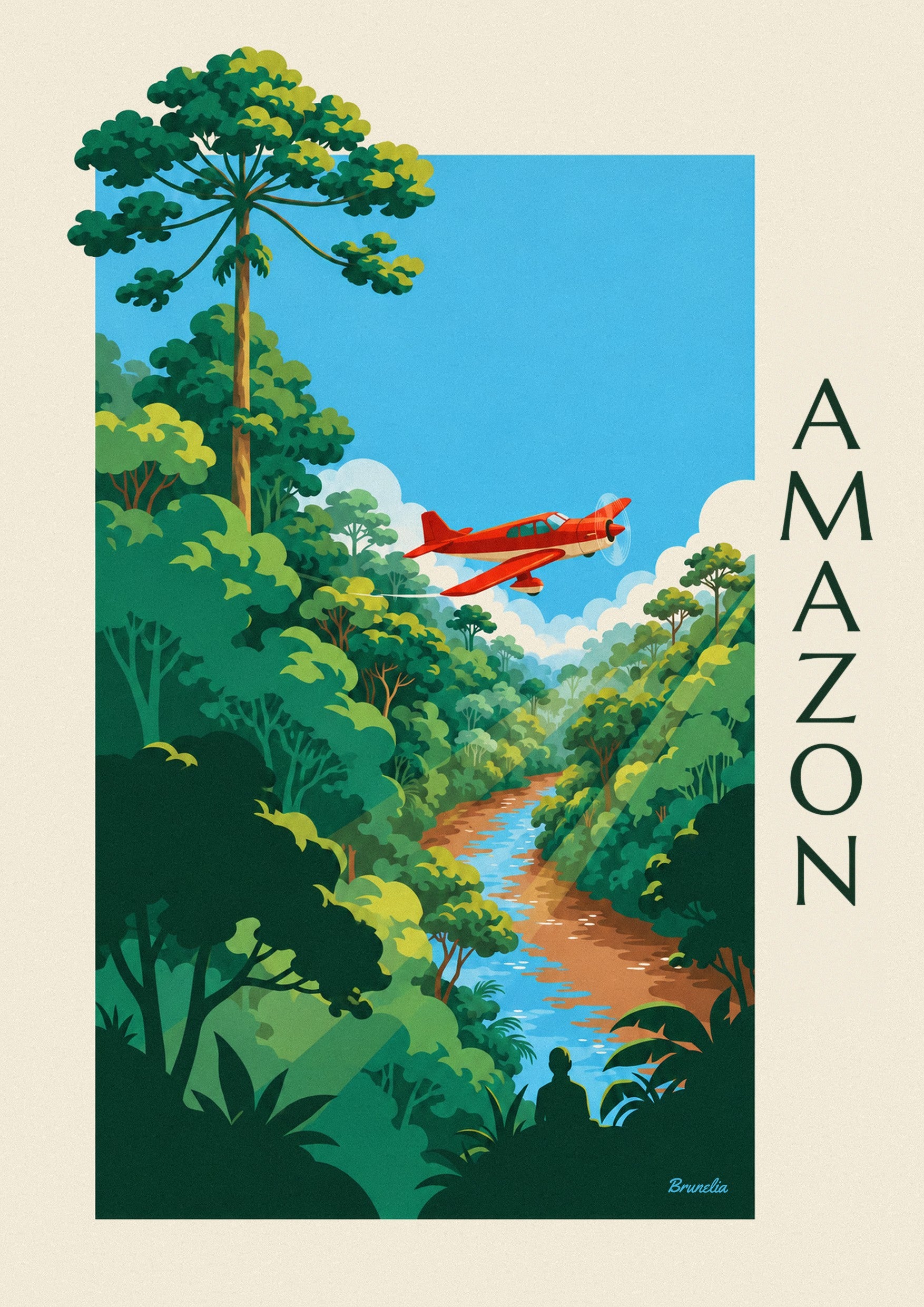 Propeller plane over the Amazon rainforest poster: close-up detail