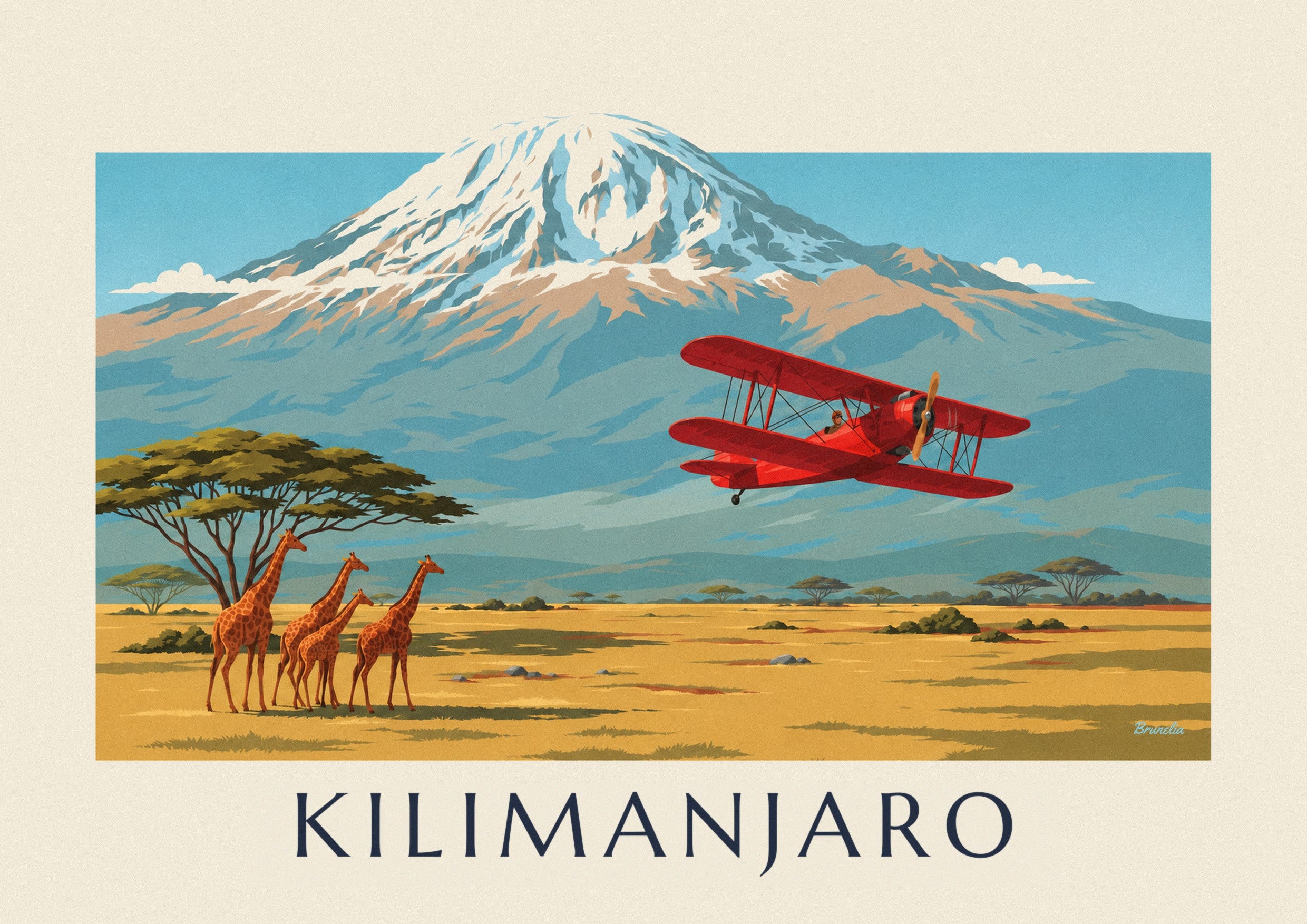 Biplane over the savanna and Kilimanjaro poster: close-up detail
