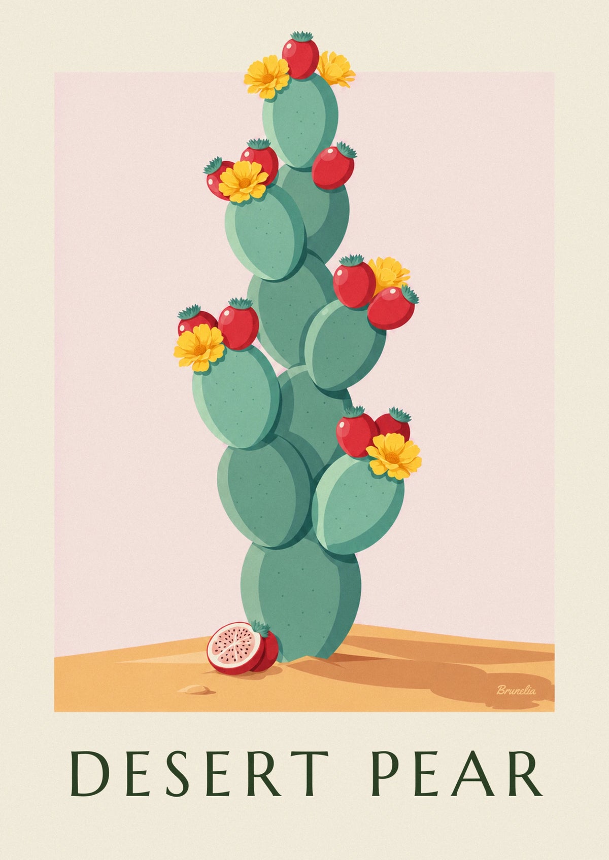 Opuntia cactus botanical plate with flowers and fruit poster