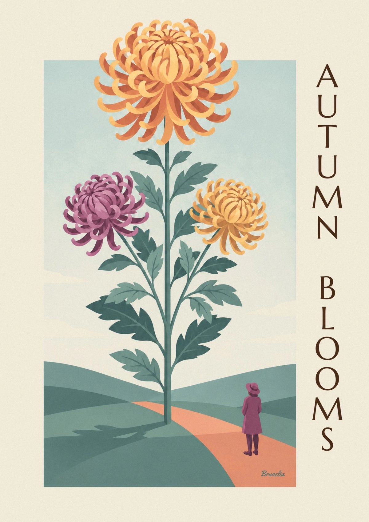 Botanical plate of double chrysanthemums poster