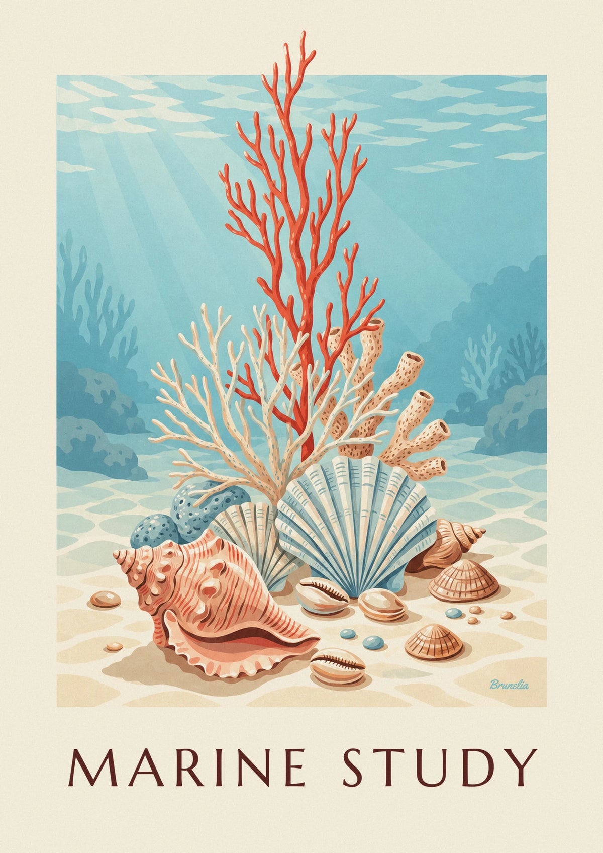Affiche planche naturaliste de coraux et coquillages