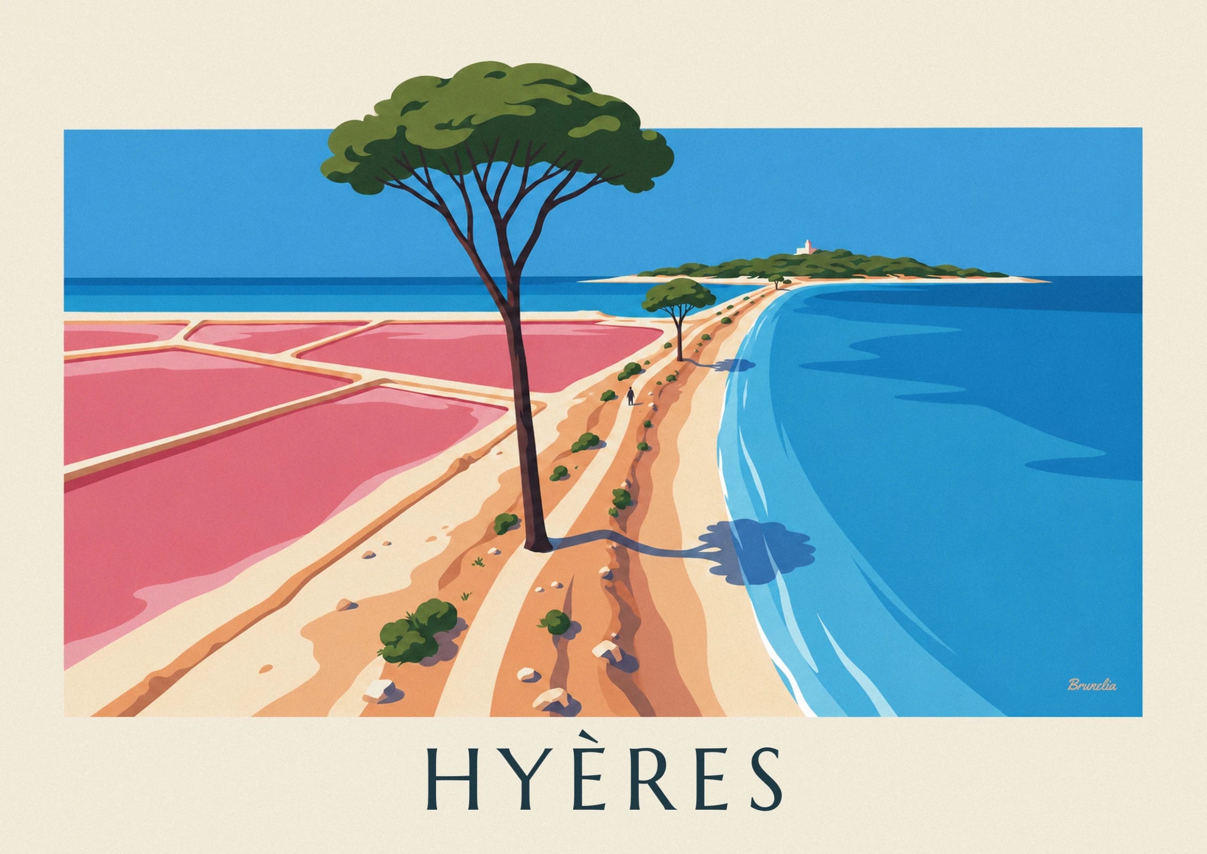 A tall pine with a slender trunk between the pink salt pans and the blue sea