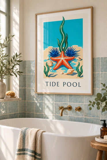 Cape coast starfish and marine life poster : framed on the wall