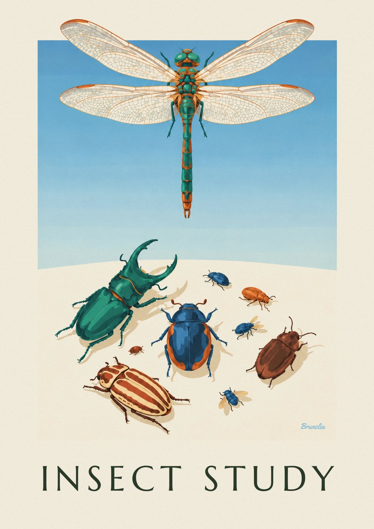 Beetles and dragonfly entomology plate poster