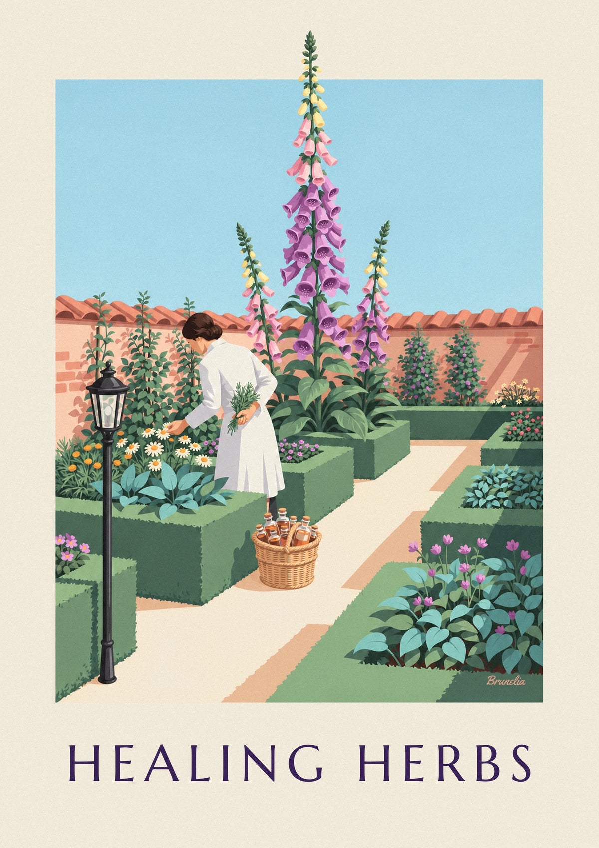 Pharmacist picking herbs among foxgloves poster