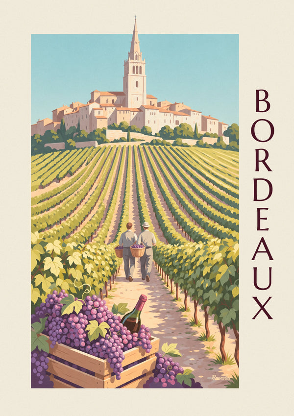 Saint-Émilion grape harvest, grape crate and golden vines poster
